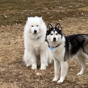 Meet your Posher, Travis